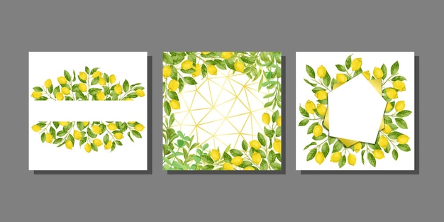 Vector plantillas de tarjetas con lemon brunches