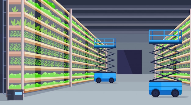 Vector plataformas elevadoras de tijeras hidráulicas en moderno cultivo hidropónico orgánico vertical granja interior agricultura concepto de sistema agrícola plantas verdes creciente industria horizontal