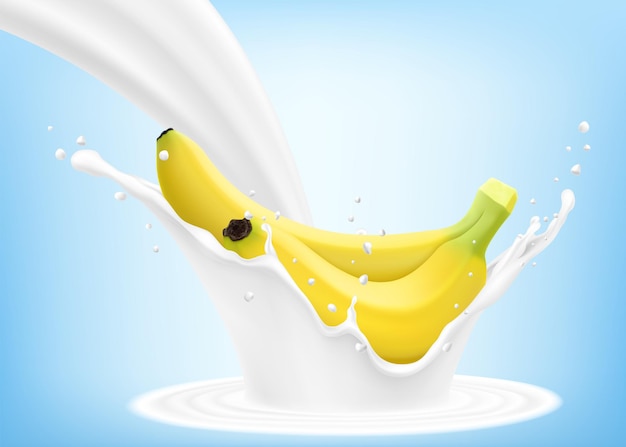 El plátano amarillo fresco y maduro cae en una salpicadura de yogur o un cóctel de leche con gotas de batido