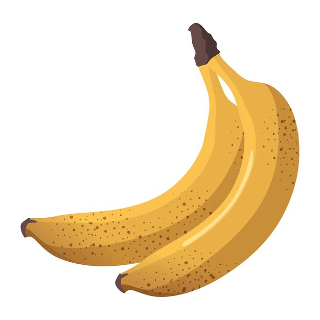 Plátano amarillo fresco realista aislado sobre fondo blanco Ilustración vectorial
