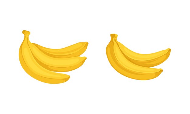 El plátano como fruta comestible alargada cubierta con un conjunto de vectores de corteza amarilla
