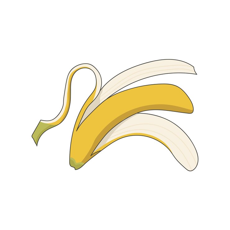 Plátano como ilustración vectorial cubierta de fruta comestible alargada