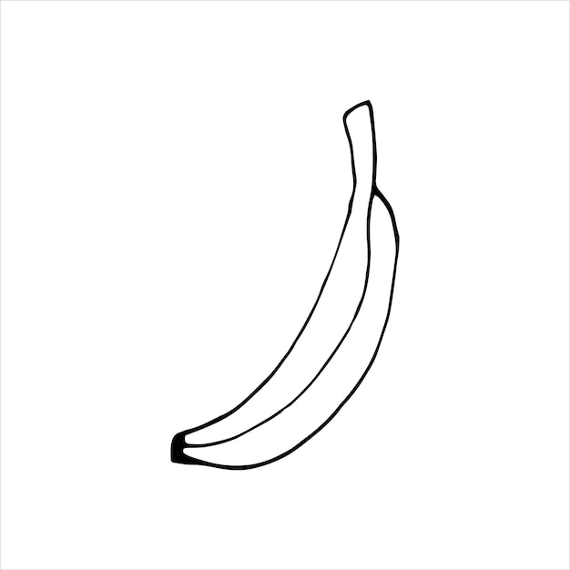 Plátano dibujado a mano para tarjetas de felicitación, carteles, recetas, diseño culinario. Aislado sobre fondo blanco. Ilustración de vector de Doodle.