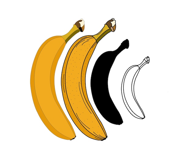 Plátano de dibujos animados de vector y racimo de plátanos