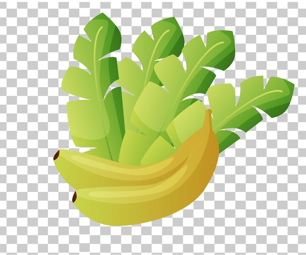plátano con una hoja verde sobre un fondo transparente