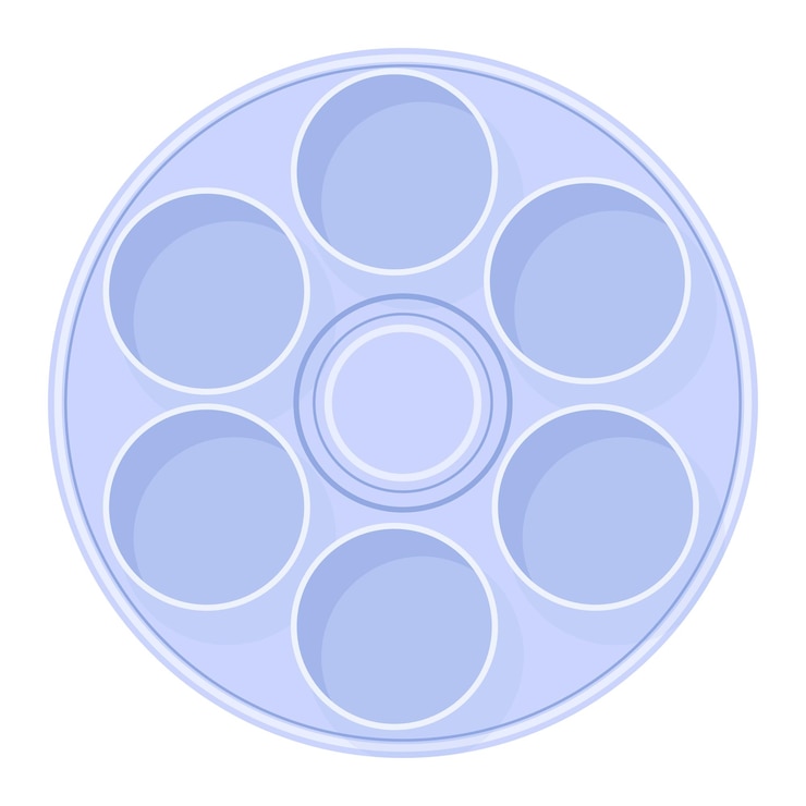 Vector el plato de seder vacío