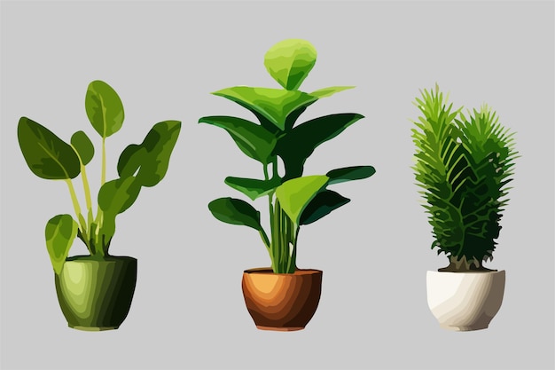 Platos de casa realistas con monstera sansevieria banana palm ficus y rhopalostylis en macetas