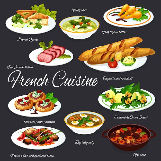 Vector platos franceses de carne y verduras con baguette