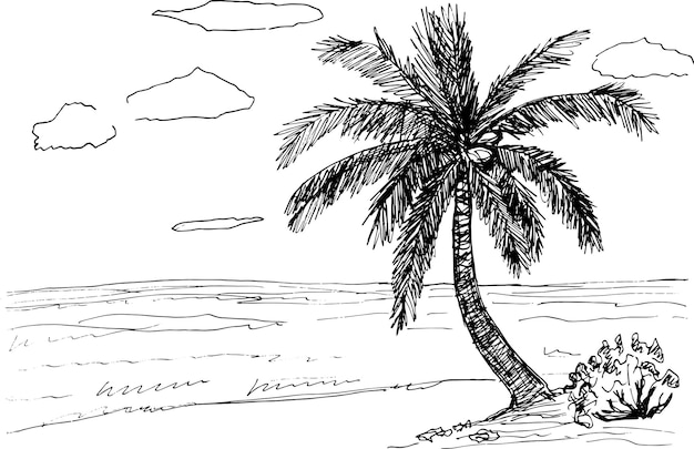 Playa gráfica de la costa del mar con vector de ilustración de dibujo de paisaje blanco negro de Palma