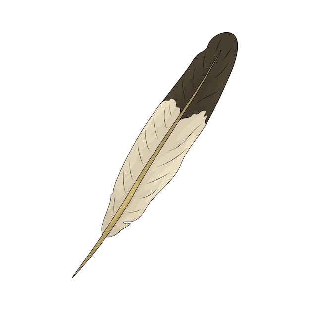 Pluma de águila