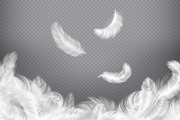 Pluma blanca . Closeup pájaro o plumas de ángel. Caída de plumas sin peso. Ilustración sueño