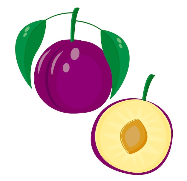 Pluma fresca y jugosa Ilustración vectorial de frutas