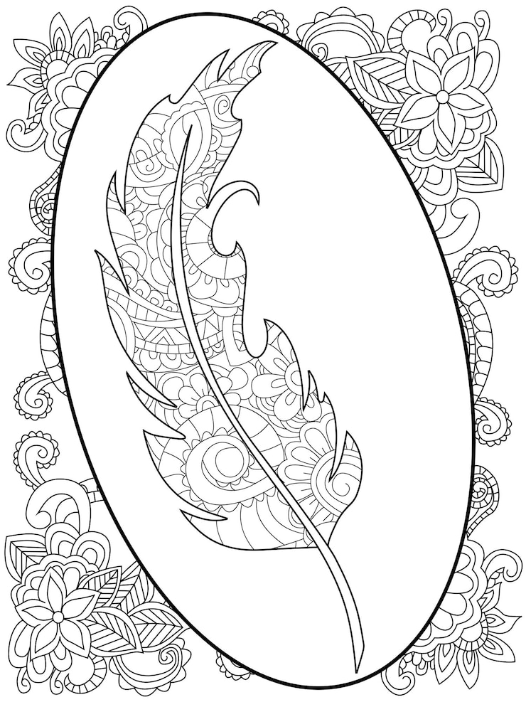 Vector pluma en el marco alrededor de los patrones abstractos para colorear vector para adultos