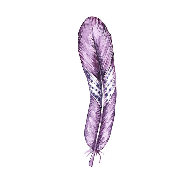 Pluma de pájaro acuarela