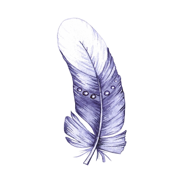 Pluma de pájaro acuarela