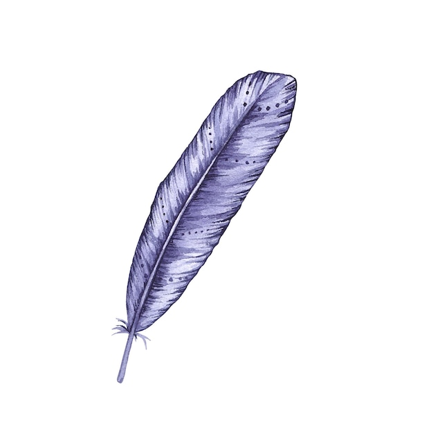 Pluma de pájaro acuarela