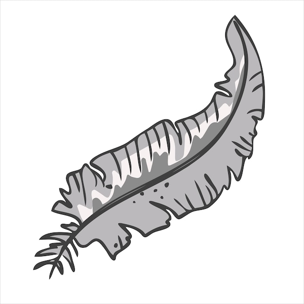 Pluma de pájaro gris ilustración vectorial en estilo dibujado a mano