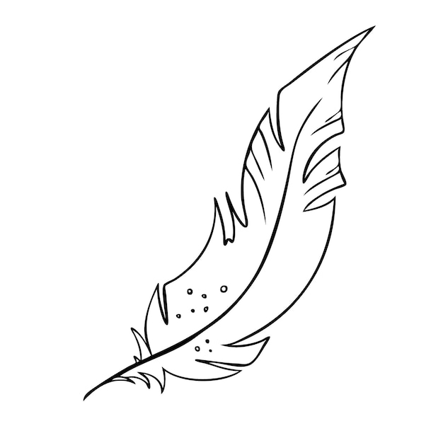 Pluma de pájaros silueta de plumas en blanco y negro para el conjunto de vectores de logotipo