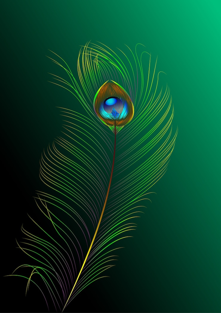 Vector pluma de pavo real sobre fondo verde