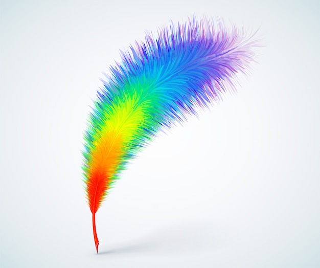 Vector pluma de pluma del arco iris