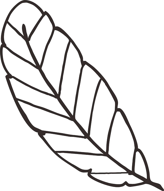 Vector pluma de la pluma