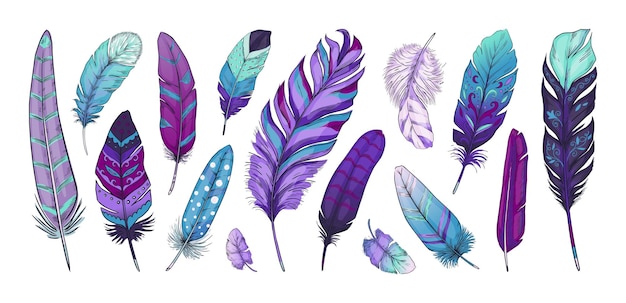 Vector pluma tribal pluma de pájaro exótico dibujada a mano con adornos étnicos indios y texturas rústicas vintage decoración de plumaje natural nativo americano pluma de escritura vector aislado violeta boho elementos conjunto