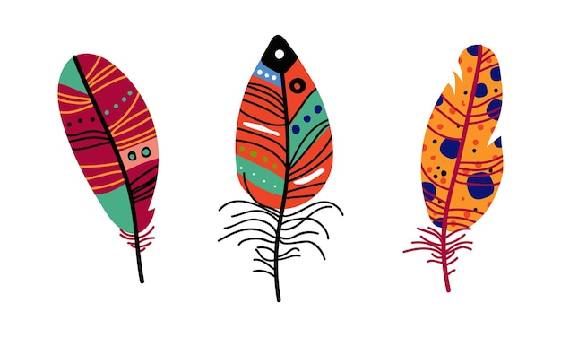 Plumaje y plumaje coloridos como conjunto vectorial de elementos tribales Boho