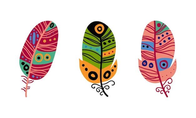 Plumaje y plumaje coloridos como conjunto vectorial de elementos tribales Boho