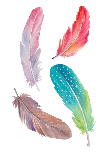 Plumas de acuarela