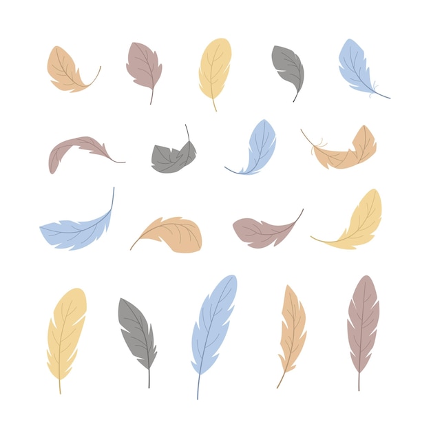 Las plumas de las aves en diferentes posiciones
