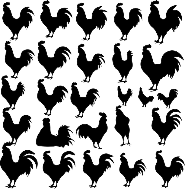 Vector plumas y bandadas explorando el mundo de las gallinas y los pollos