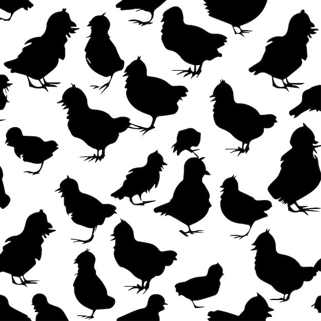 Vector plumas y bandadas explorando el mundo de las gallinas y los pollos