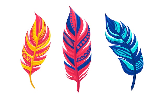 Plumas curvas decorativas como conjunto vectorial de plumaje aviario