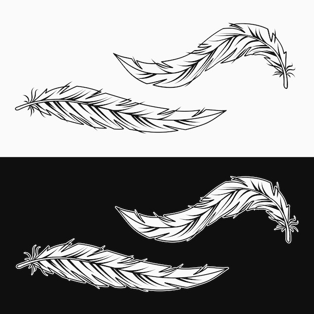Plumas negras y blancas onduladas Ilustración vectorial en estilo vintage sobre fondo blanco y negro