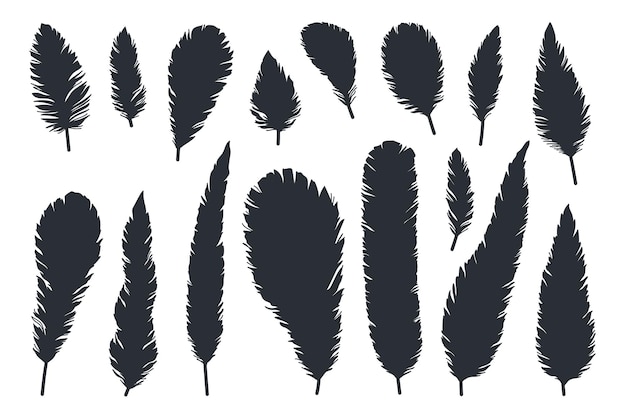 Plumas de pájaro dibujadas a mano siluetas negras primer plano aislado en conjunto de fondo blanco