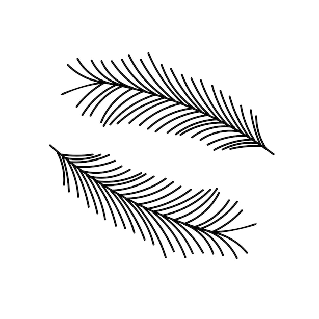 Plumas de pájaro Estilo garabato dibujado a mano Ilustración vectorial aislada en blanco Página para colorear