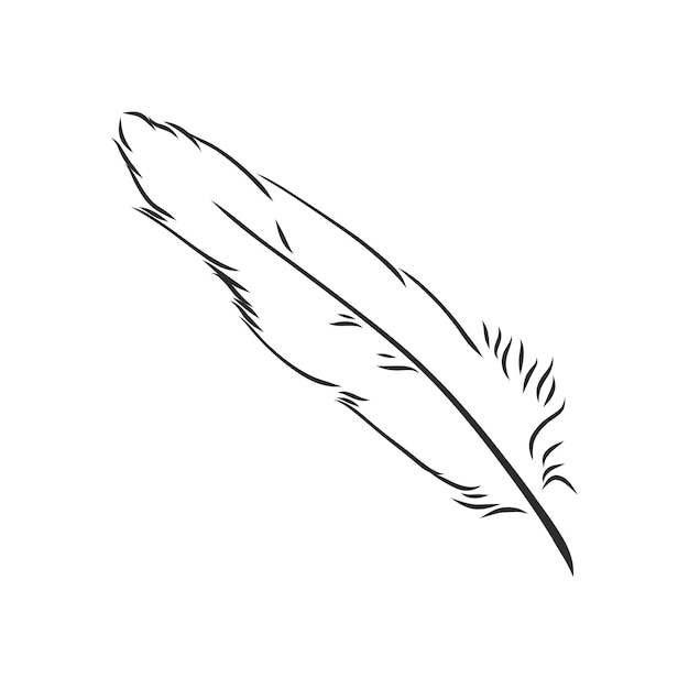 Plumas de pájaro Ilustración dibujada a mano convertida en vector