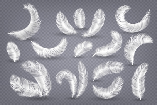 Plumas realistas. Pluma de cisne y ganso blanco esponjoso, pluma ingrávida aislada