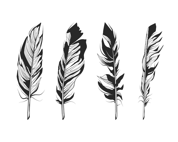 Plumas