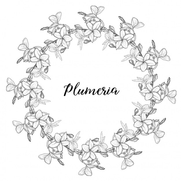 Plumeria Hawaii, Bali, Indonesia, Sri Lanka Collares de flores tropicales. ilustración