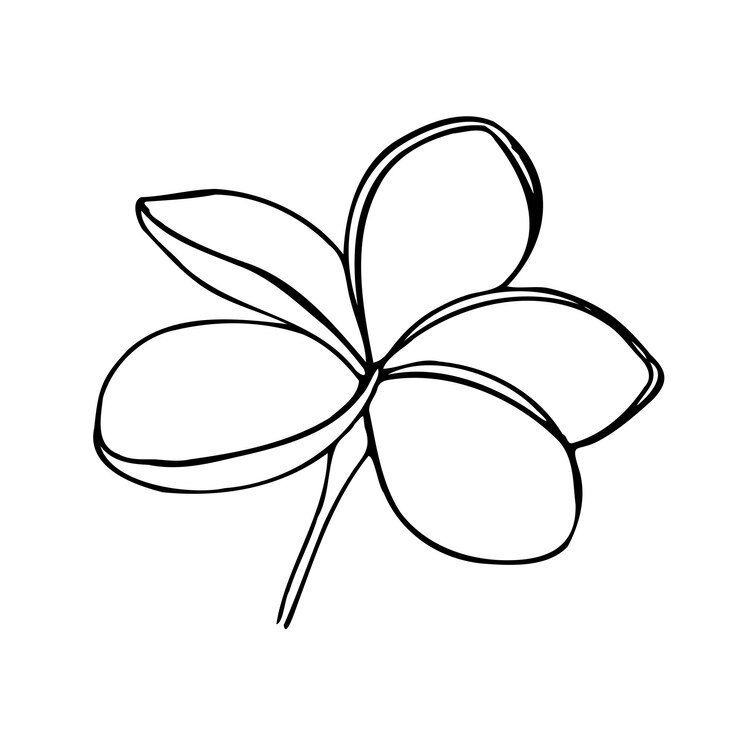 Plumeria tropical dibujada a mano en estilo de arte en línea aislada sobre un fondo blanco