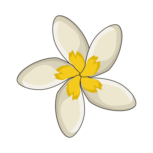 Plumeria
