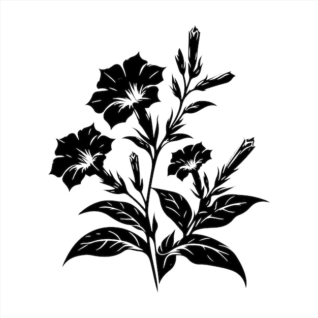 La poda de la Nicotiana para las flores continuas