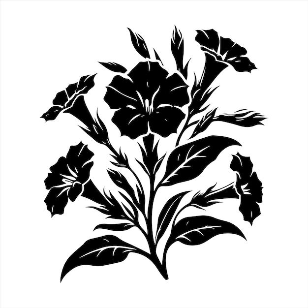 La poda de la Nicotiana para las flores continuas