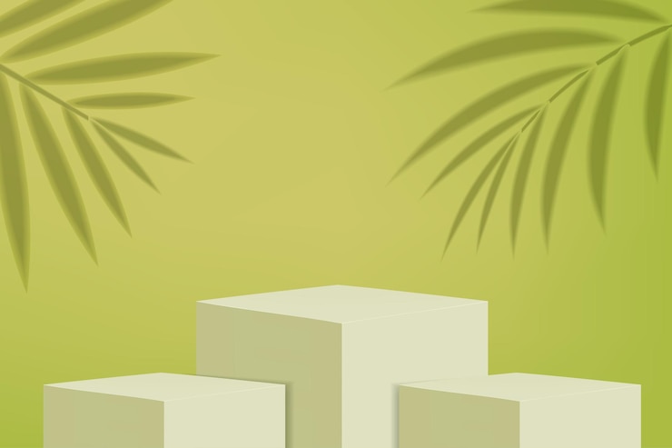 Vector podio de producto de cubo con sombra de hojas de palma vector