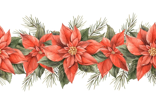 Poinsettia Flor roja de Navidad con hojas verdes y ramas de abeto Acuarela sin costuras Frontera botánica en fondo aislado Dibujo para invitaciones pancartas tarjetas de papel de embalaje decoración