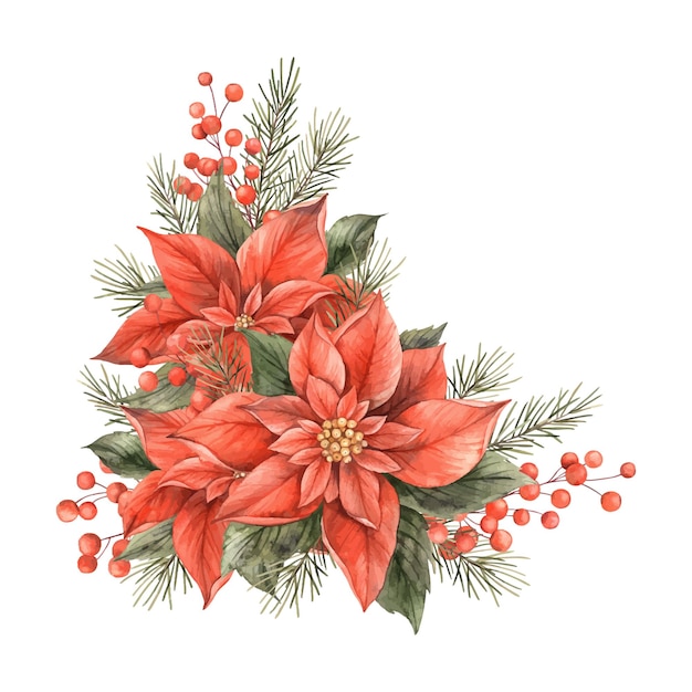 Poinsettia Navidad flor roja ramas de abeto y bayas rojas Acuarela ramo botánico dibujado a mano en un estilo navideño Para Navidad y Año Nuevo vacaciones invitaciones tarjetas pancartas