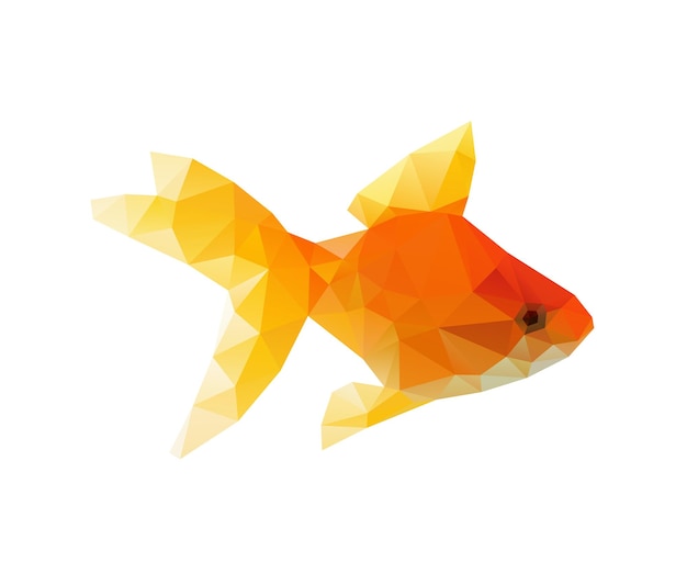 Vector polígono bajo goldfish