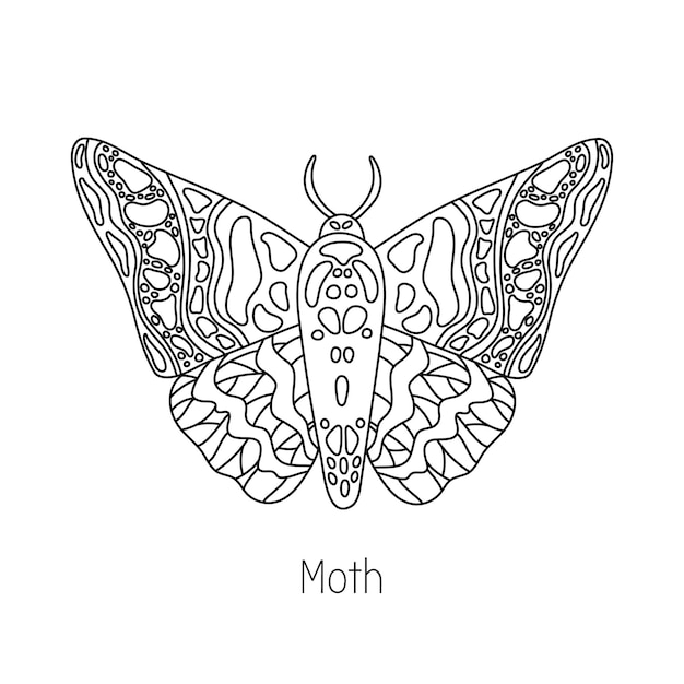 Vector polilla mariposa exótica insecto volador tropical línea arte vector dibujado a mano ilustración aislada