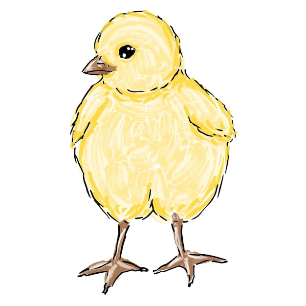 Pollito amarillo acuarela digital Pollo joven aislado sobre fondo blanco Ilustración de pájaro bebé lindo para el diseño